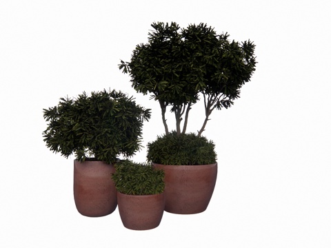 组团 景观 灌木 造景 室外造景 植物 室内造景su模型