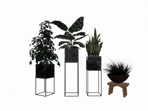 组团 景观 灌木 造景 室外造景 植物 室内造景su模型