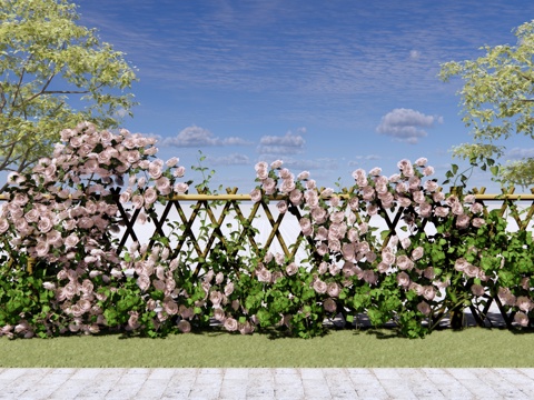 现代 玫瑰花 庭园玫瑰花墙 藤蔓藤本 爬藤植物 月季花 蔷薇su模型