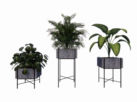 组团 景观 灌木 造景 室外造景 植物 室内造景su模型