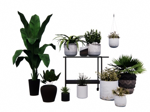 组团 景观 灌木 造景 室外造景 植物 室内造景su模型