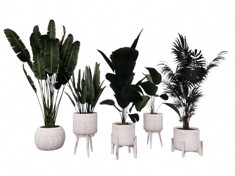 组团 景观 灌木 造景 室外造景 植物 室内造景su模型