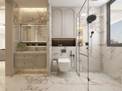  法式卫生间 干区卫生间 干湿分区卫生间 淋浴房 马桶花洒 浴3d模型 