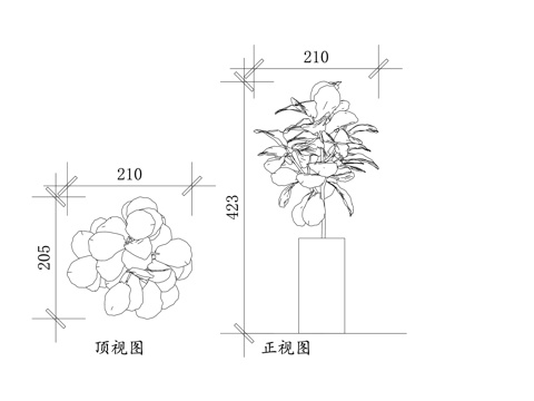  果树盆景 果树盆栽 盆景果树 家庭果树盆景 花盆果树cad施工图 