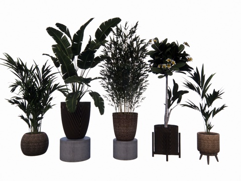 植物 乔木 花镜 室外造景 造景 灌木su模型