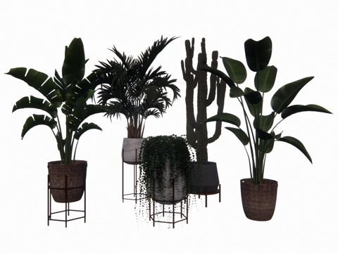 植物 乔木 花镜 室外造景 造景 灌木su模型