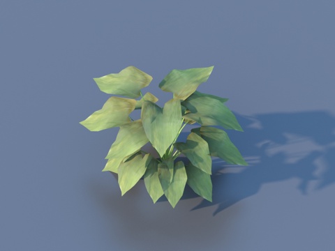  草 花草 野草 写实3d模型 