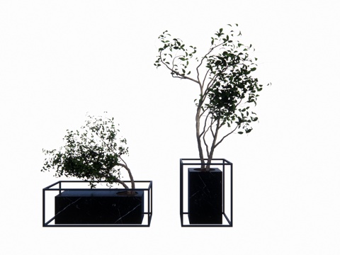 植物 乔木 花镜 室外造景 造景 灌木su模型