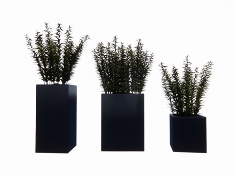 植物 乔木 花镜 室外造景 造景 灌木su模型