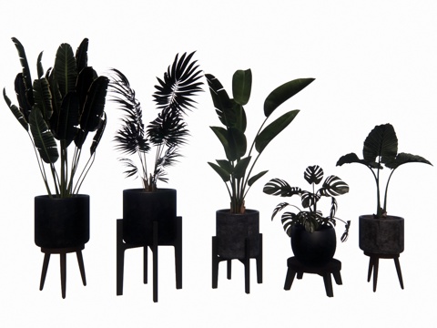 植物 乔木 花镜 室外造景 造景 灌木su模型