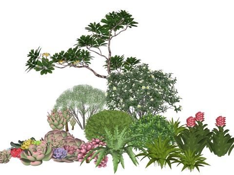  现代庭院植物堆景观组合su模型 