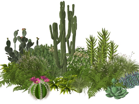  现代庭院室内景观植物堆组合su模型 