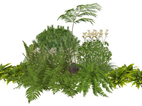 现代庭院植物堆景观组合su模型