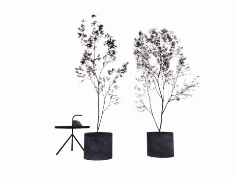 花镜 室外造景 造景 灌木 植物su模型