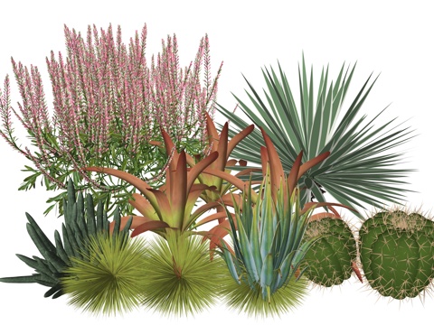  现代庭院室内景观植物堆组合su模型 