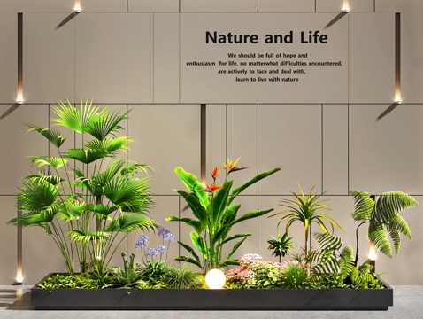  室内景观  景观造景   植物堆   植物组合  花坛花池3d模型 