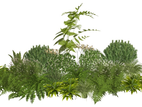  现代庭院室内景观植物堆组合su模型 