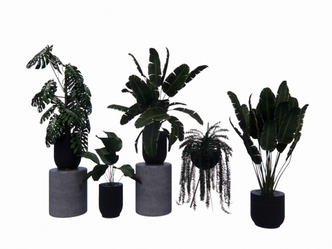 花镜 室外造景 造景 灌木 植物su模型