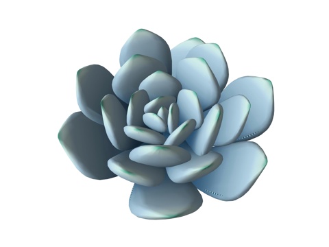 现代多肉植物su模型