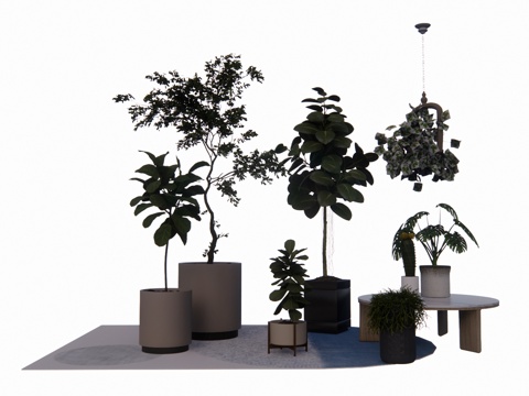 花镜 室外造景 造景 灌木 植物su模型