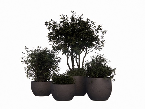 花镜 室外造景 造景 灌木 植物su模型