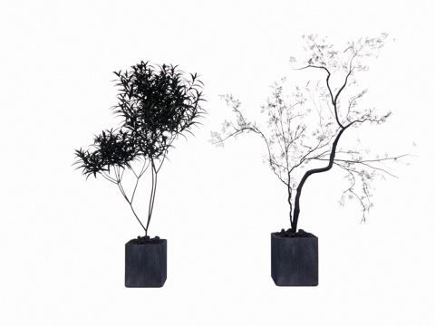 花镜 室外造景 造景 灌木 植物su模型