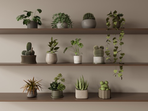 盆栽摆件多肉su模型