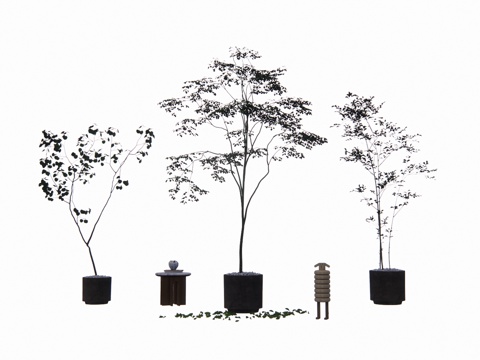 花镜 组团 景观 室外造景 室内造景 灌木 乔木su模型