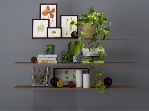  现代吊柜 吊架 装饰架3d模型 