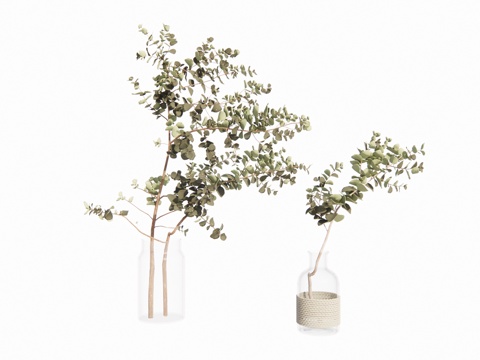 造景 植物 室外造景 灌木 室内造景 花镜 景观 组团 乔木su模型