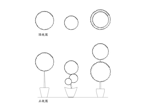 装饰性盆栽植物 室内观叶植物 造型盆栽 绿植摆件 装饰绿植cad施工图