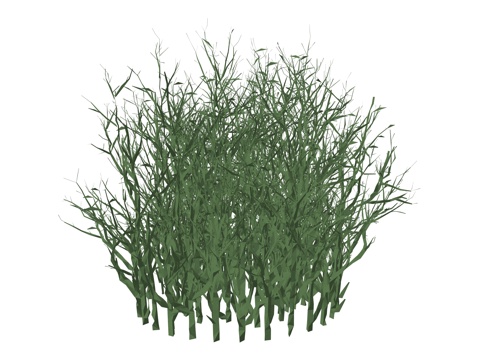 现代庭院植物su模型