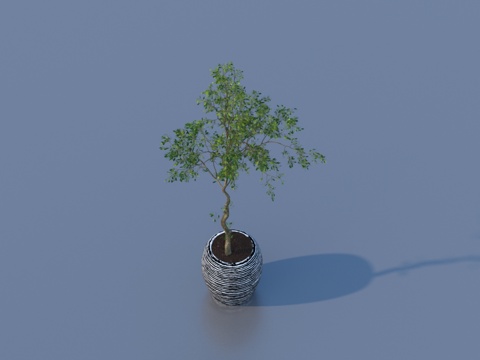  花盆 盆栽 绿植 植物3d模型 