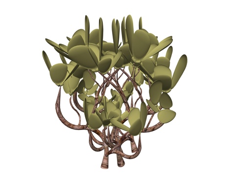 现代庭院植物su模型