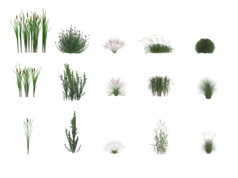  植物 水生植物 绿植3d模型 