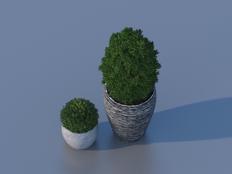 花盆 盆栽 绿植 植物3d模型 