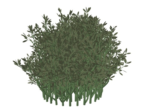 现代庭院植物su模型