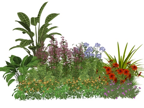 现代室内植物堆造景组合su模型