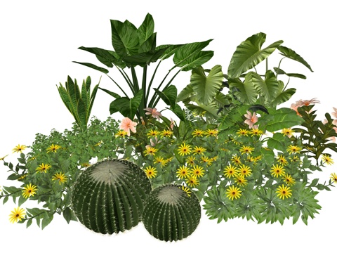 现代室内植物堆造景组合su模型