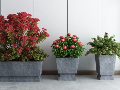 中式庭院景观植物盆栽绿植3d模型