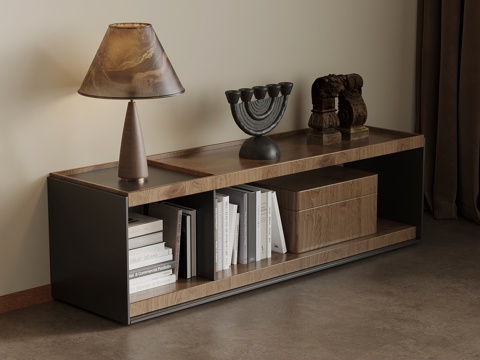 现代中古风置物柜 装饰柜su模型