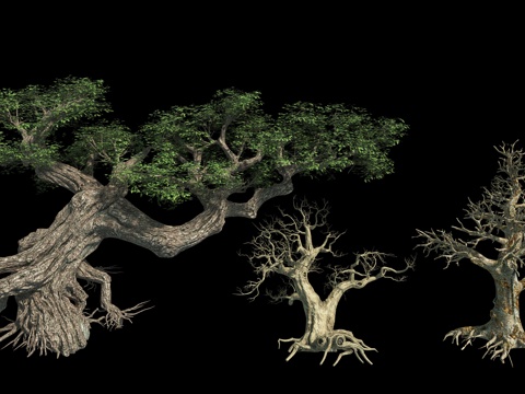 植物榕树枯木枯树3d模型