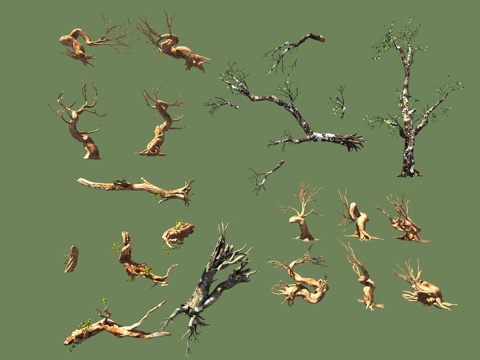 枯树植物木头3d模型