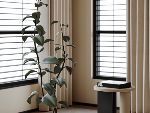 中古盆栽盆景 绿植 花盆 大叶植物su模型