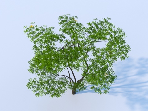  树 景观树3d模型 