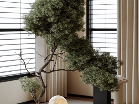 中古盆栽盆景 绿植 花盆 小叶植物 松树su模型