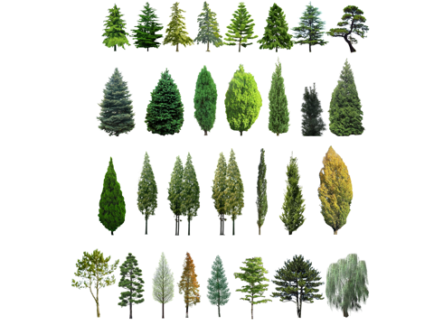 室外造景 组团 造景 室内造景 花镜 植物 乔木 景观 灌木su模型