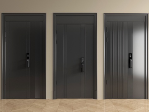  现代入户门 防盗门 子母门 平开门3d模型 