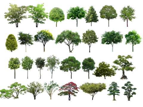 室外造景 组团 造景 室内造景 花镜 植物 乔木 景观 灌木su模型