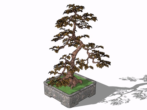 景观树盆景su模型